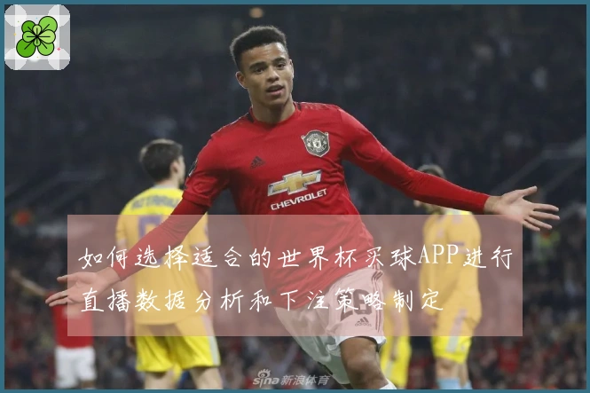 如何选择适合的世界杯买球APP进行直播数据分析和下注策略制定