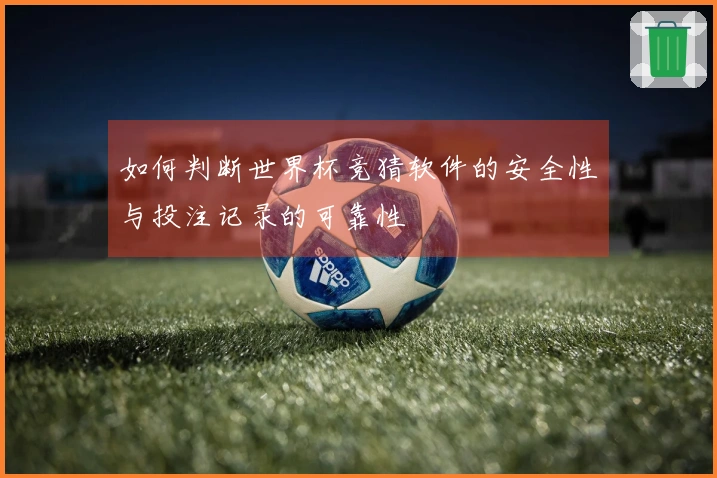如何判断世界杯竞猜软件的安全性与投注记录的可靠性