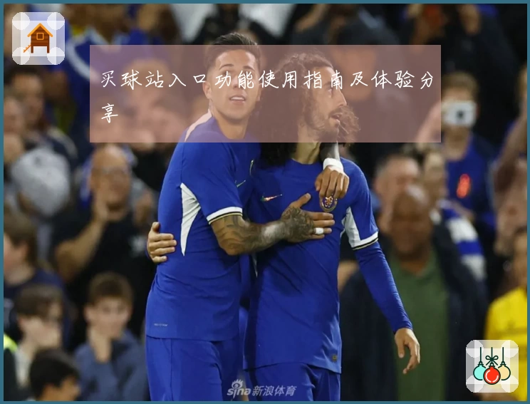 买球站入口功能使用指南及体验分享