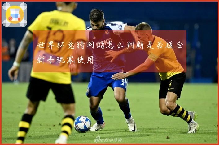 世界杯竞猜网站怎么判断是否适合新手玩家使用