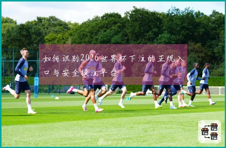 如何识别2026世界杯下注的正规入口与安全投注平台