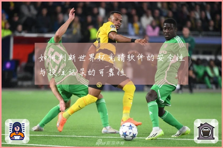 如何判断世界杯竞猜软件的安全性与投注记录的可靠性