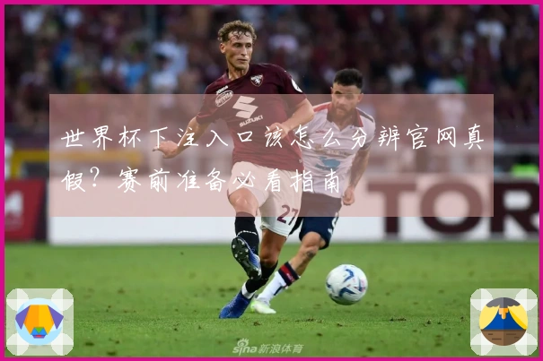 世界杯下注入口该怎么分辨官网真假？赛前准备必看指南