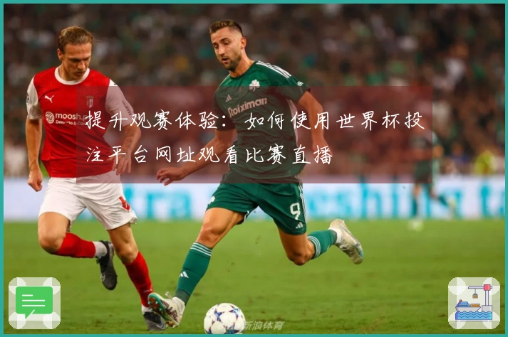 提升观赛体验：如何使用世界杯投注平台网址观看比赛直播