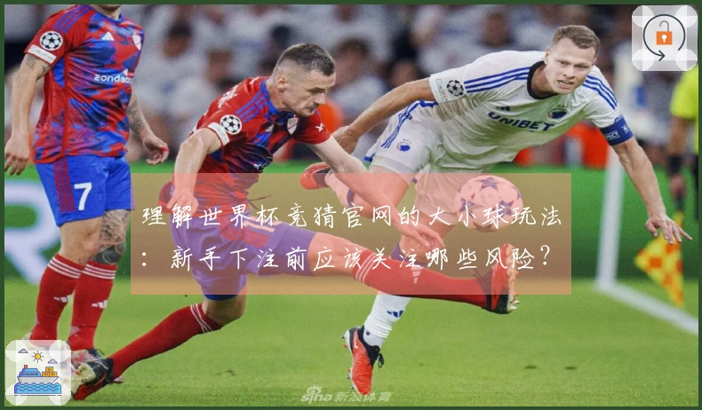 理解世界杯竞猜官网的大小球玩法：新手下注前应该关注哪些风险？