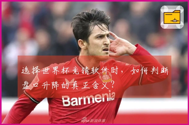选择世界杯竞猜软件时，如何判断盘口升降的真正含义？
