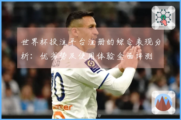 世界杯投注平台注册的综合表现分析：优劣势及使用体验全面评测