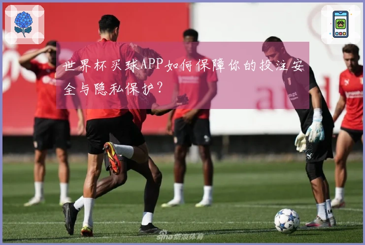 世界杯买球APP如何保障你的投注安全与隐私保护？