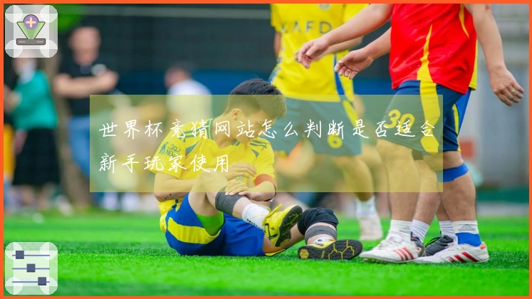 世界杯竞猜网站怎么判断是否适合新手玩家使用