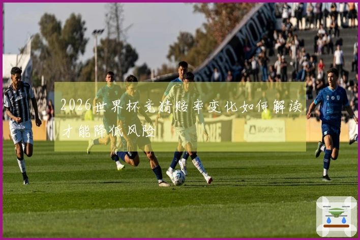 2026世界杯竞猜赔率变化如何解读才能降低风险