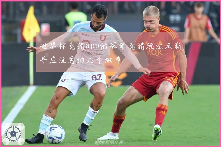 世界杯竞猜app的冠军竞猜玩法及新手应注意的几个细节