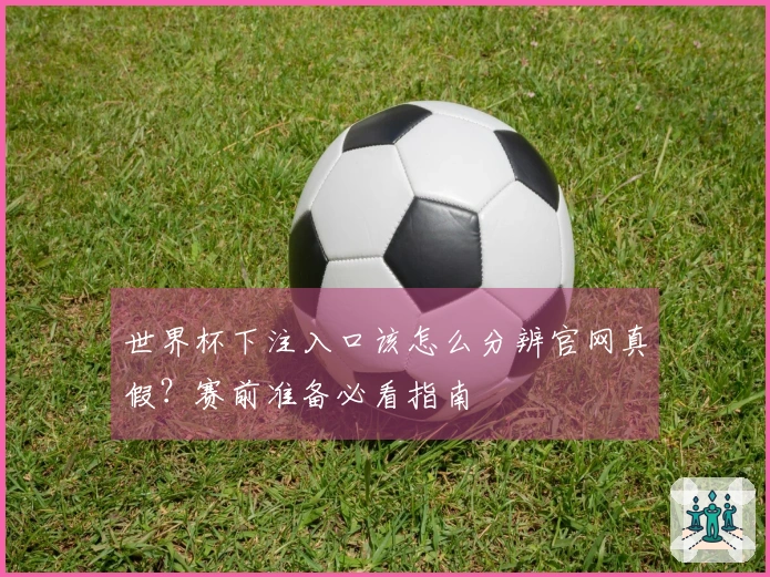 世界杯下注入口该怎么分辨官网真假？赛前准备必看指南