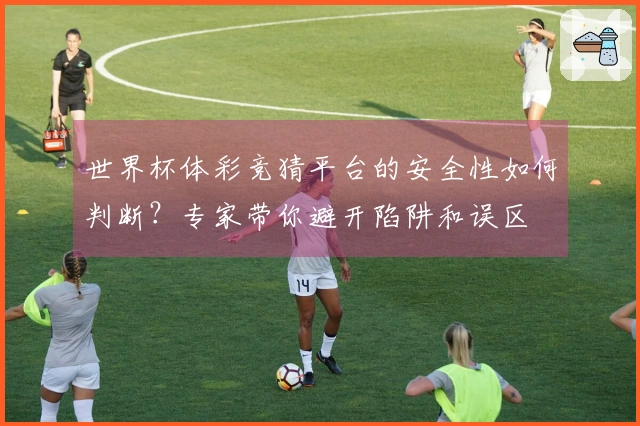 世界杯体彩竞猜平台的安全性如何判断？专家带你避开陷阱和误区