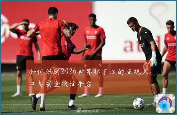 如何识别2026世界杯下注的正规入口与安全投注平台
