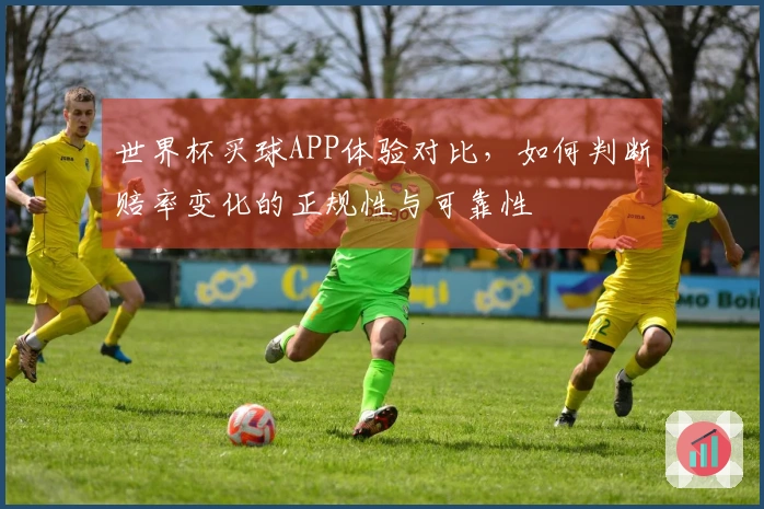 世界杯买球APP体验对比，如何判断赔率变化的正规性与可靠性