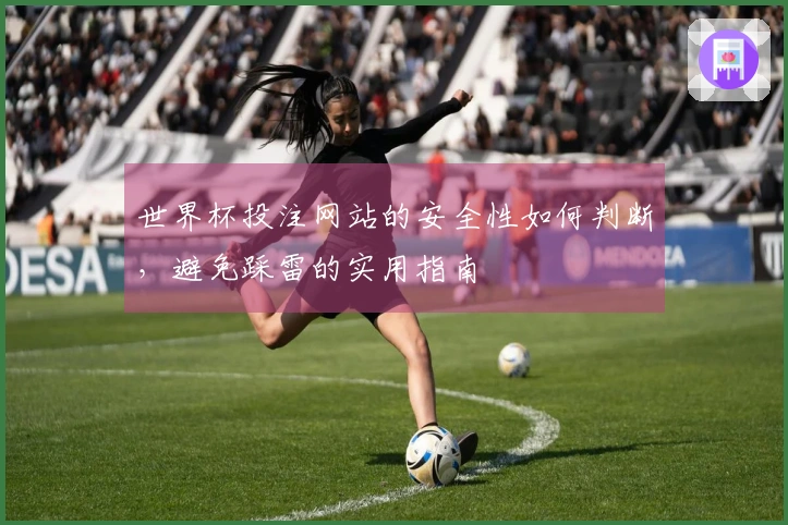 世界杯投注网站的安全性如何判断，避免踩雷的实用指南