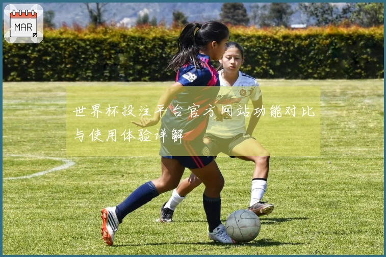 世界杯投注平台官方网站功能对比与使用体验详解